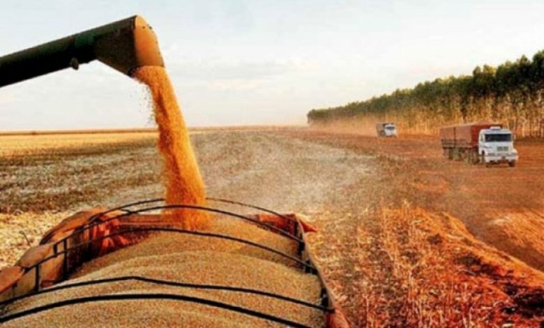 Photo of El Gobierno le quitará a la provincia de La Rioja los recursos de la soja