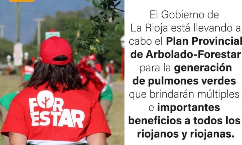 Photo of LOS ÁRBOLES QUE FORMAN PARTE DEL ECOSISTEMA URBANO SON MUY IMPORTANTES PARA EL AMBIENTE:
