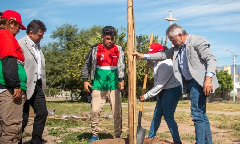 Photo of CONTINÚA A PASO FIRME EL PLAN DE FORESTACIÓN CON 150 ÁRBOLES POR DÍA